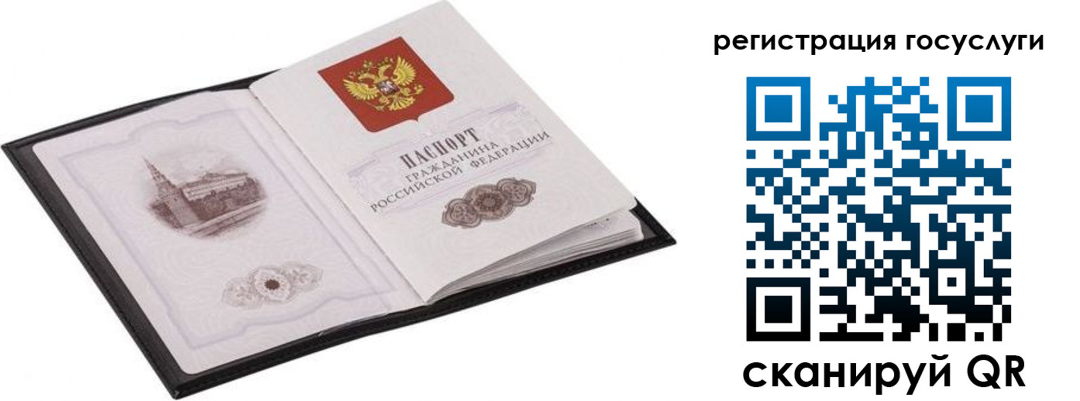 временная регистрация поиск в Электростали